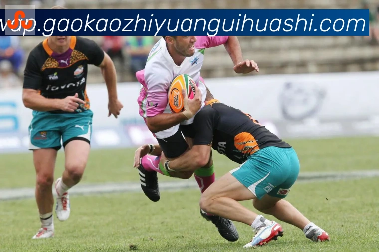 开云kaiyun官方网页版APP 封面图