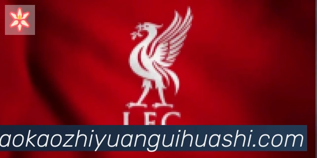 开云kaiyun官方网页版合作伙伴